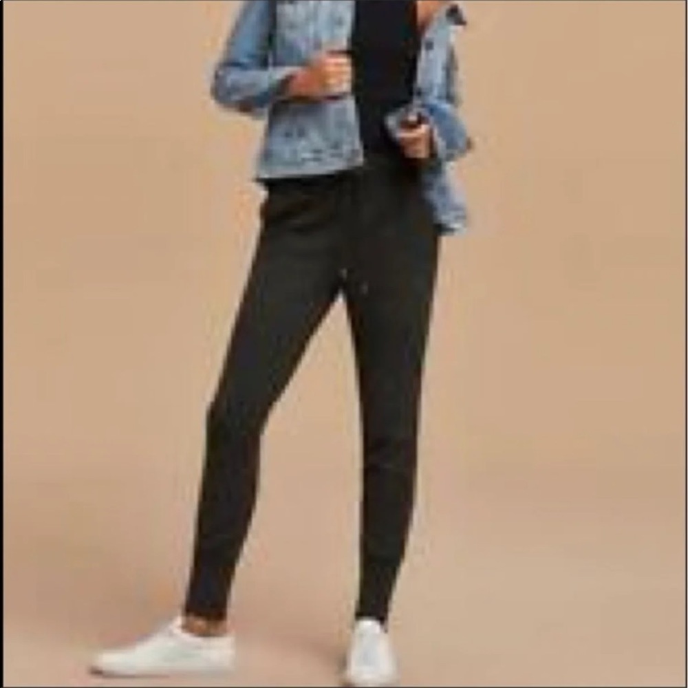 Aritzia Wilfred Knit Jogger Pants